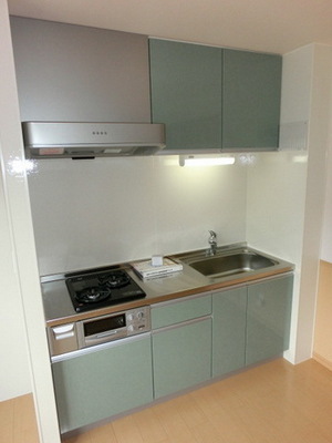 Kitchen. System kitchen