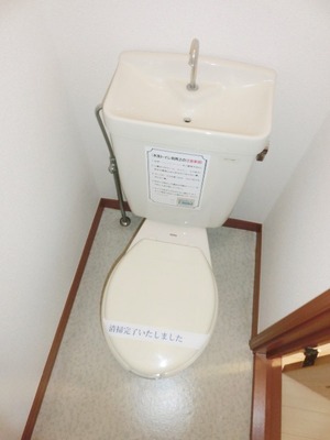 Toilet. I toilets are simple.