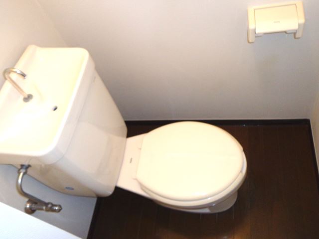 Toilet. Western-style toilet