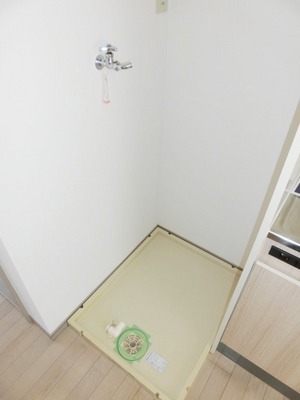 Washroom. Indoor Laundry Storage