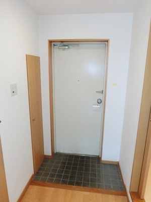 Entrance. There is a shoe box in the foyer.