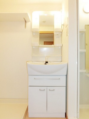 Washroom. Convenient independent vanity