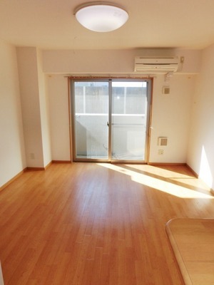 Living and room. Bright Western-style flooring upholstery