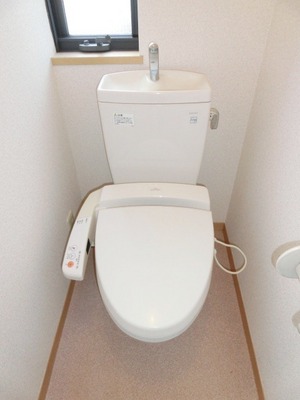 Toilet. With cleaning function