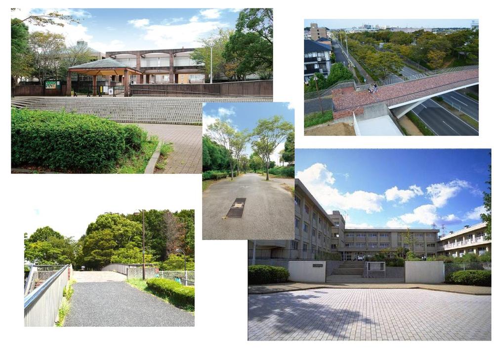 Primary school. Otari elementary school It is an elementary school that can be safely commute from 600m promenade to.