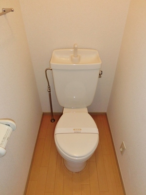 Toilet. Toilet