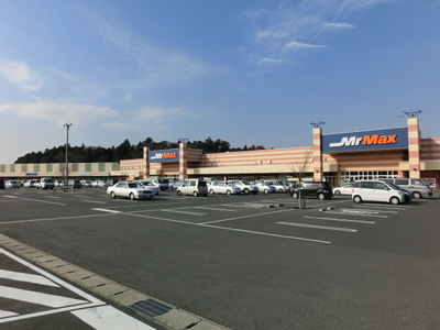 Shopping centre. 300m to Mr Max (shopping center)