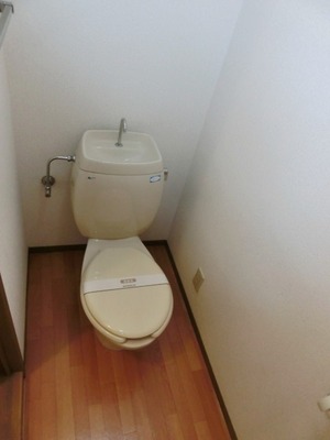 Toilet. Toilet