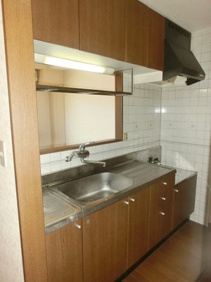 Kitchen. Two-burner gas stove can be installed