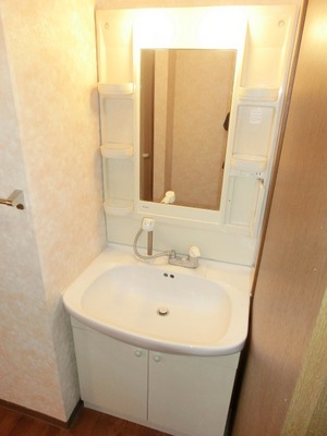 Washroom. Bathroom Vanity