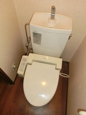 Toilet. Toilet with warm water washing toilet seat