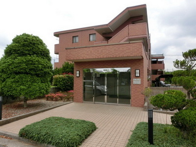 Entrance. This apartment that can coexist with small dog