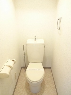 Toilet. Restroom with cleanliness