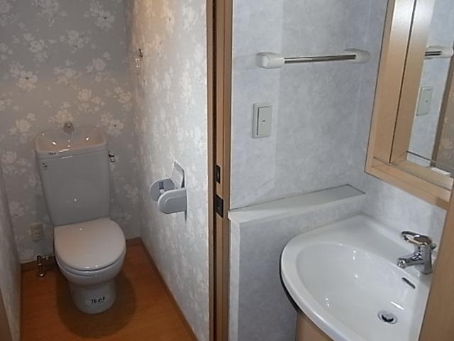 Toilet. Indoor (January 2013) Shooting