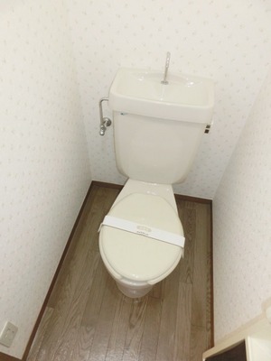 Toilet. Toilet