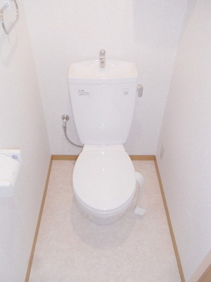 Toilet. Standard toilets