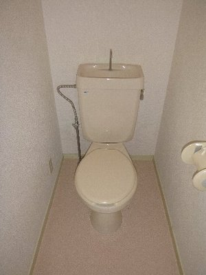 Toilet. Toilet with cleanliness