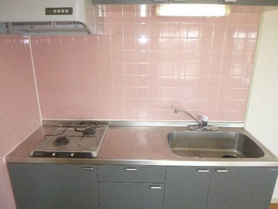 Kitchen. Clean system kitchen pink background