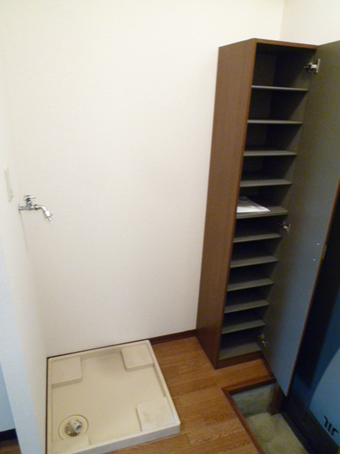 Entrance. Indoor Laundry Storage & shoe box