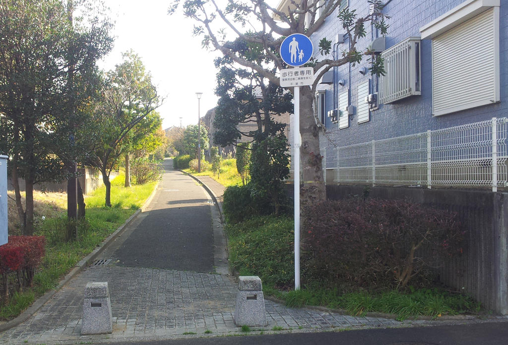 Other. The back of the building immediately promenade