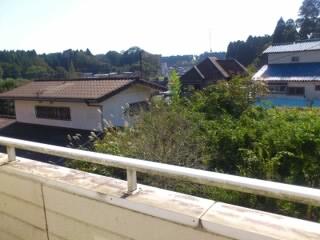 View photos from the dwelling unit. View from the site (November 2012) shooting