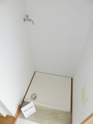 Washroom. Indoor Laundry Storage