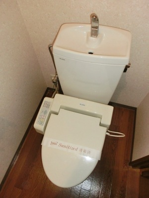 Toilet. Toilet with warm water washing toilet seat