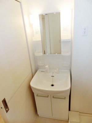 Washroom. Bathroom Vanity