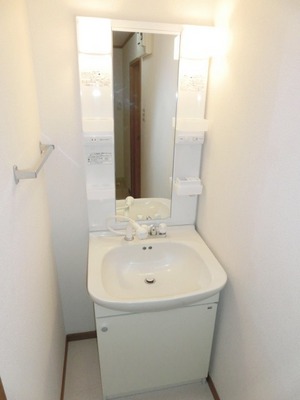 Washroom. Convenient independent vanity