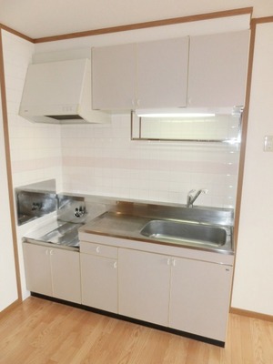 Kitchen. Two-burner gas stove can be installed