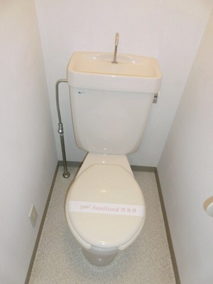 Toilet. Toilet