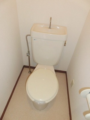 Toilet. Toilet