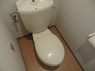 Toilet. Toilet with cleanliness