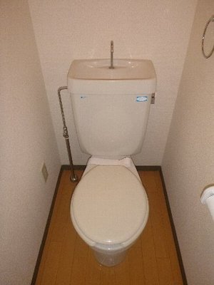 Toilet. Toilet with cleanliness