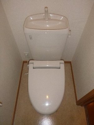 Toilet. Toilet with cleanliness