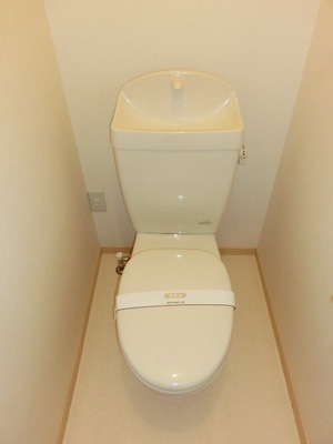 Toilet. It is a toilet with a clean