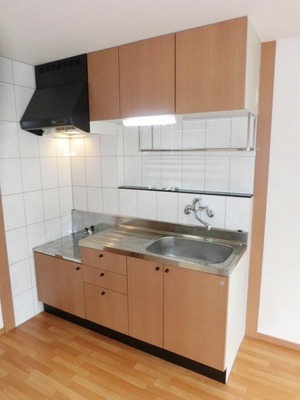 Kitchen. Two-burner gas stove can be installed