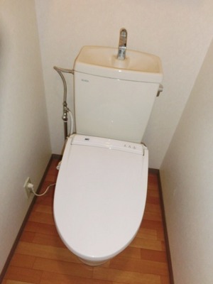 Toilet. Toilet