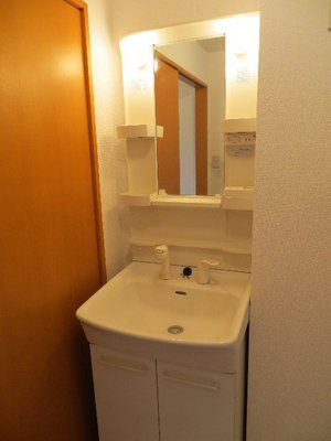 Washroom. Shampoo dresser