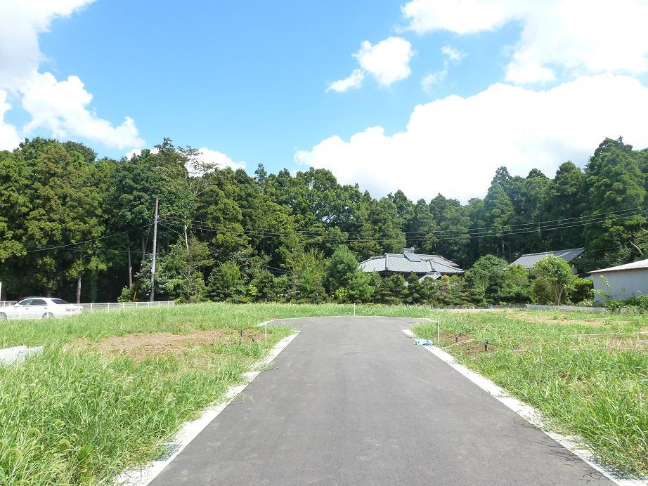 Local photos, including front road. Local (September 2013) Shooting A quiet residential area