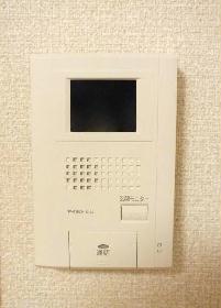 Other. Monitor with intercom