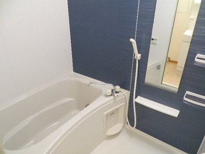 Bath. Bathroom in which the blue and white tones