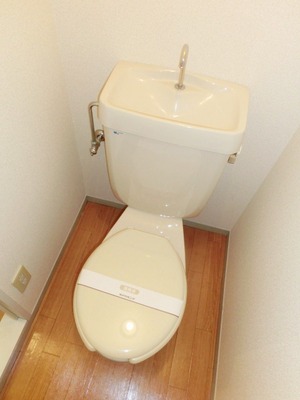 Toilet. Toilet