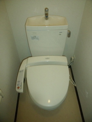 Toilet. Cleaning feature with toilet seat