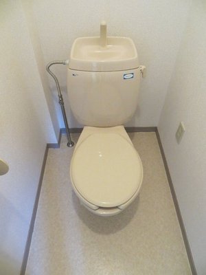 Toilet. Toilet with cleanliness