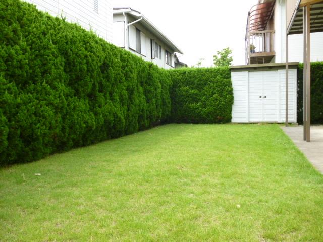 Garden. Spacious garden