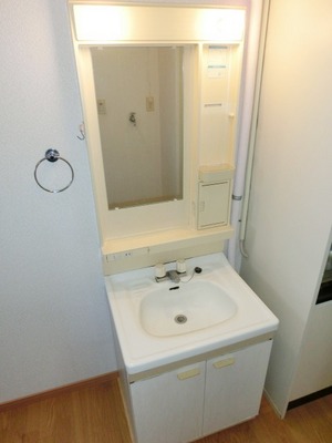 Washroom. Convenient independent vanity