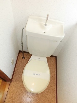 Toilet. Toilet