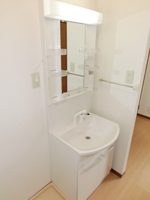 Washroom. Convenient Vanity
