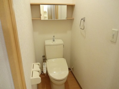 Toilet. Bidet, Restroom with a hanging cupboard
